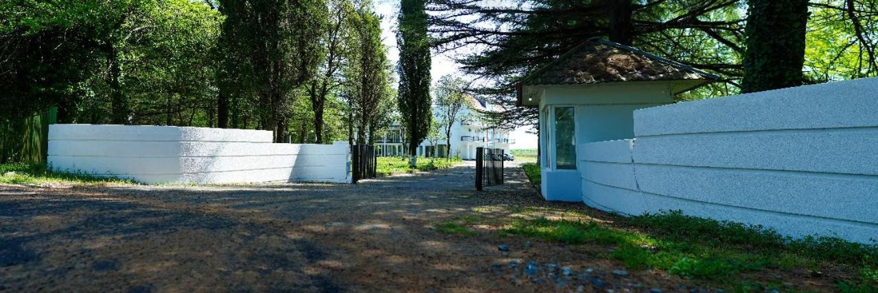 Hotel Tsiskari Ianet'i Ngoại thất bức ảnh