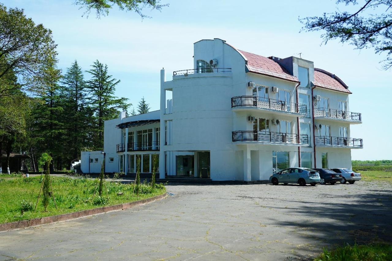 Hotel Tsiskari Ianet'i Ngoại thất bức ảnh